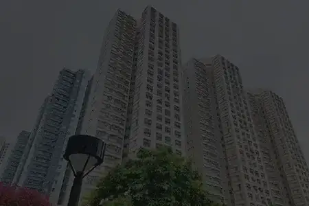 Raymond Thane Projects
